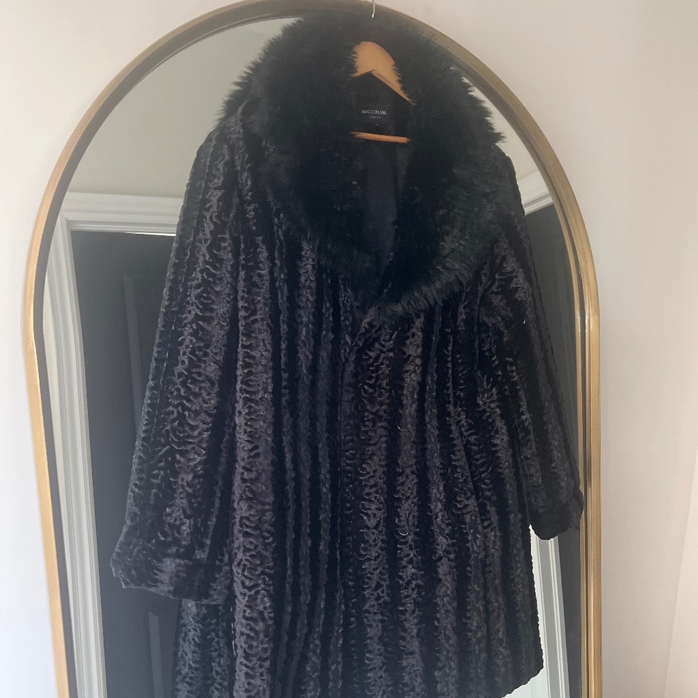 Niccolin collection (18)